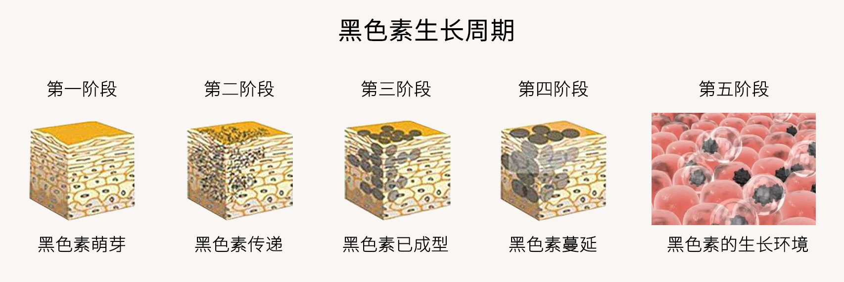 激光治疗黑色素会脱落吗,激光治疗黑色素后扩散