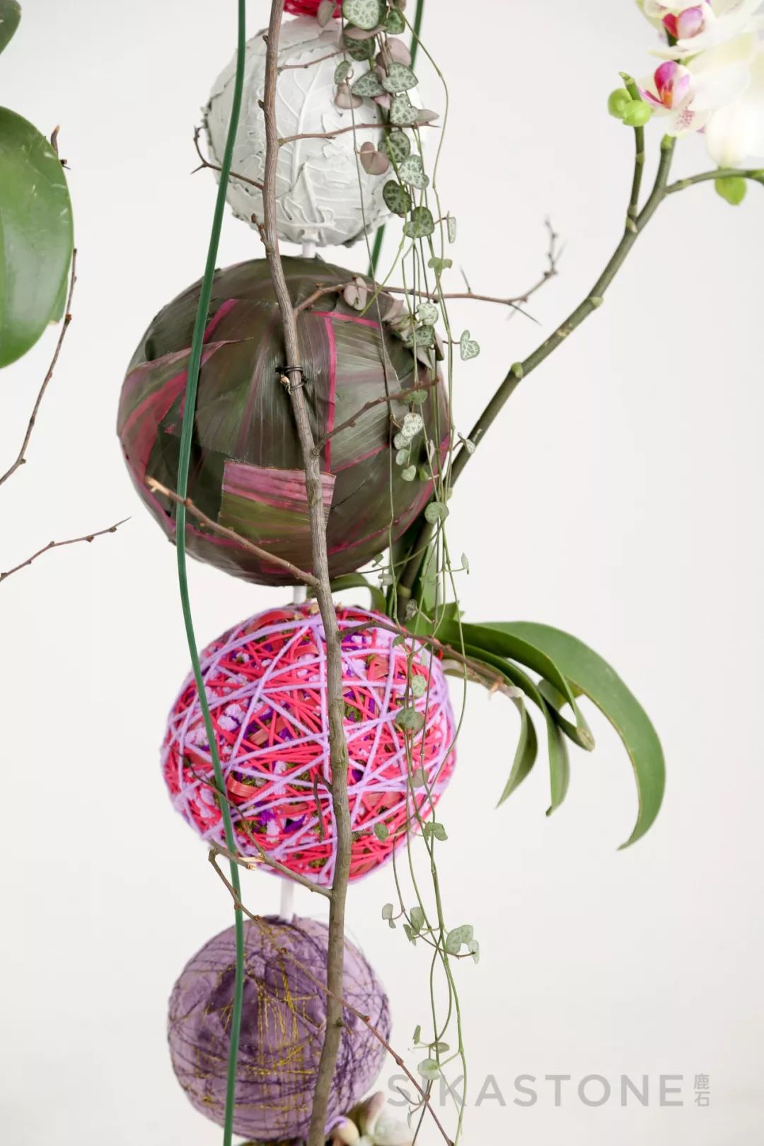 6天，教你用色彩“粉”碎所有不可能