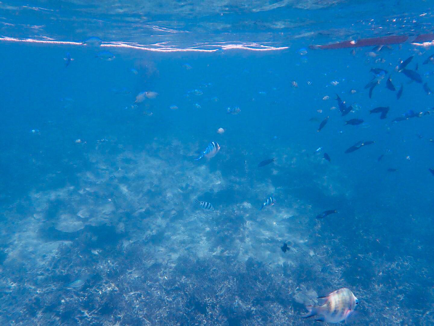 马来西亚沙巴旅游攻略详细,马来西亚沙巴好玩不