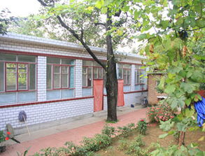 清明过后适合露天种哪些作物,清明节后谷雨前种什么农作物最好