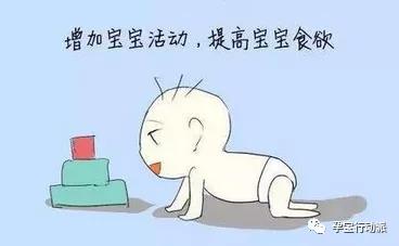 鹦鹉厌奶期如何度过,靠迷糊奶度过厌奶期