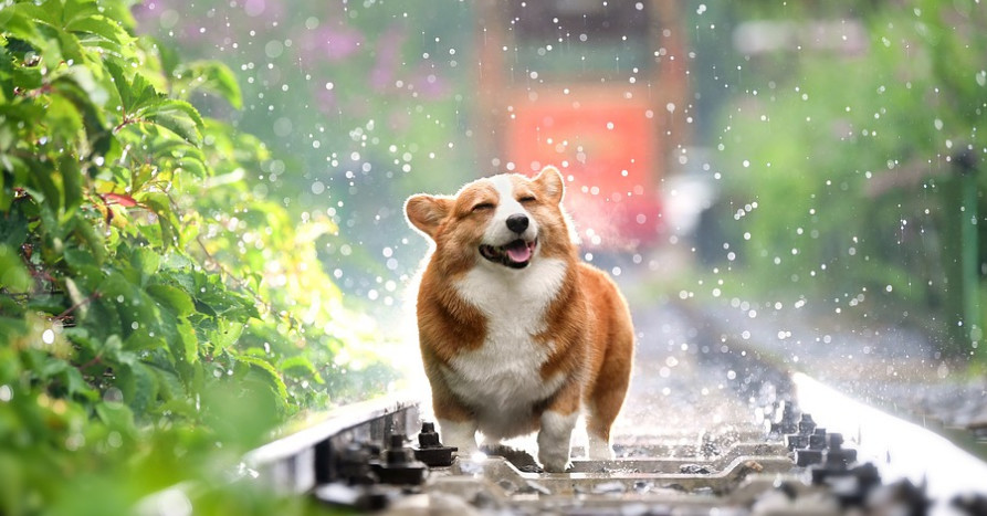 怎么帮助孩子解决语言发育迟缓,孩子语言发育迟缓该怎么教