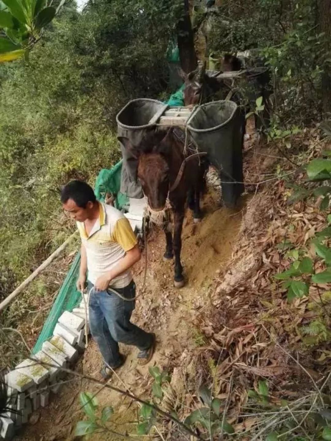 赚钱最有效率的行业,一个月赚10万的赚钱行业有哪些