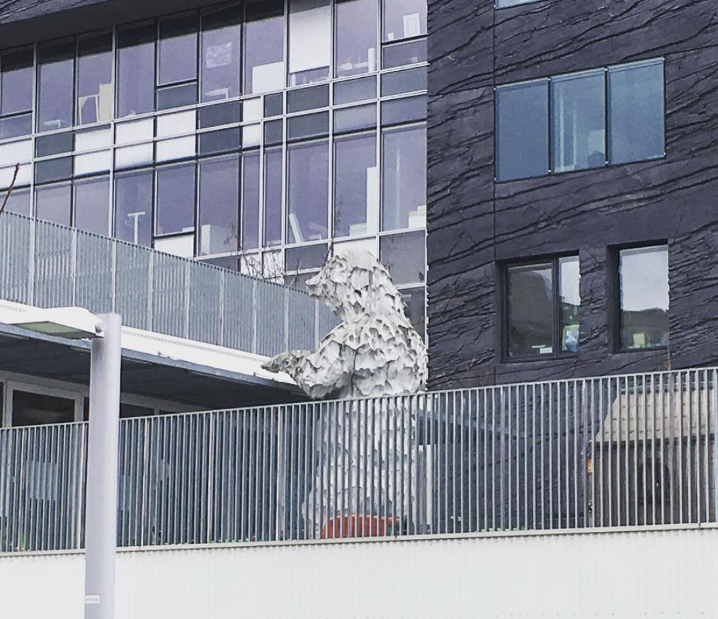 看了就想养的宠物,看了就想养宠物的视频