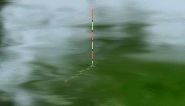 你因为选错浮漂错过了多少鱼？浮漂选择好，鱼获少不了。