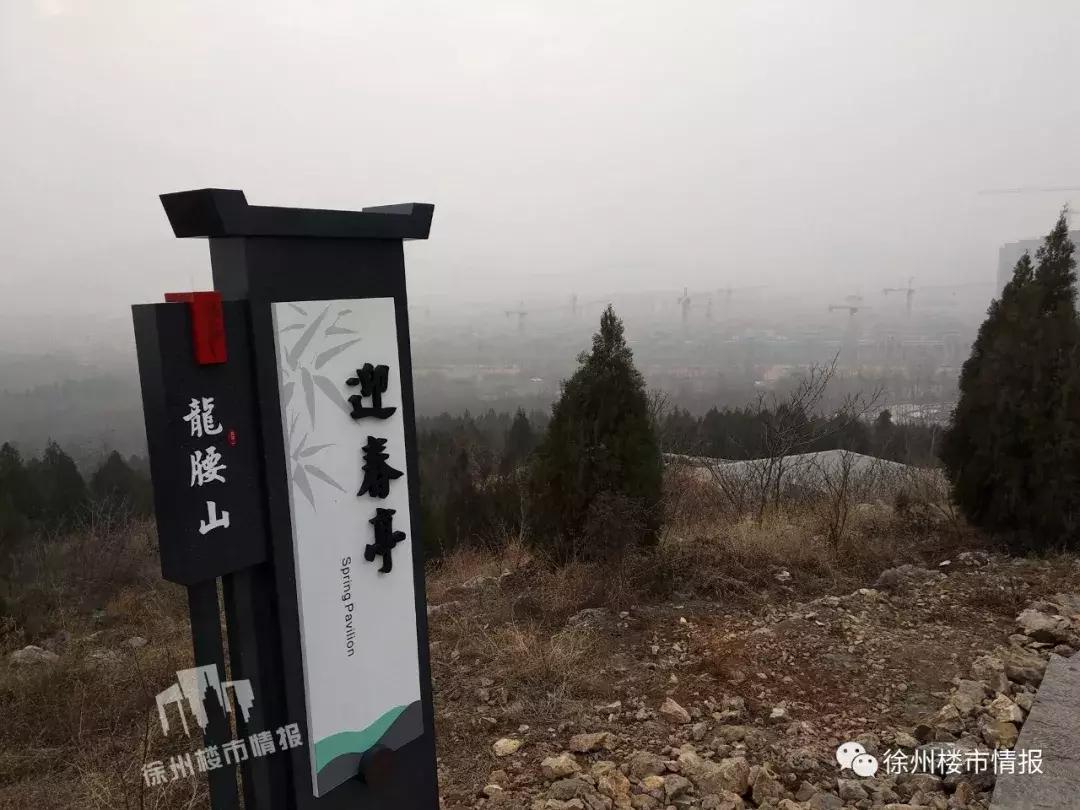 徐州森林公园,徐州森林公园开放时间最新