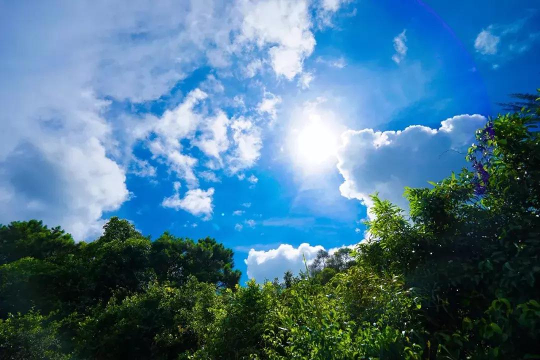 香港麦理浩徒步路线,香港徒步是全球十佳徒步路线吗