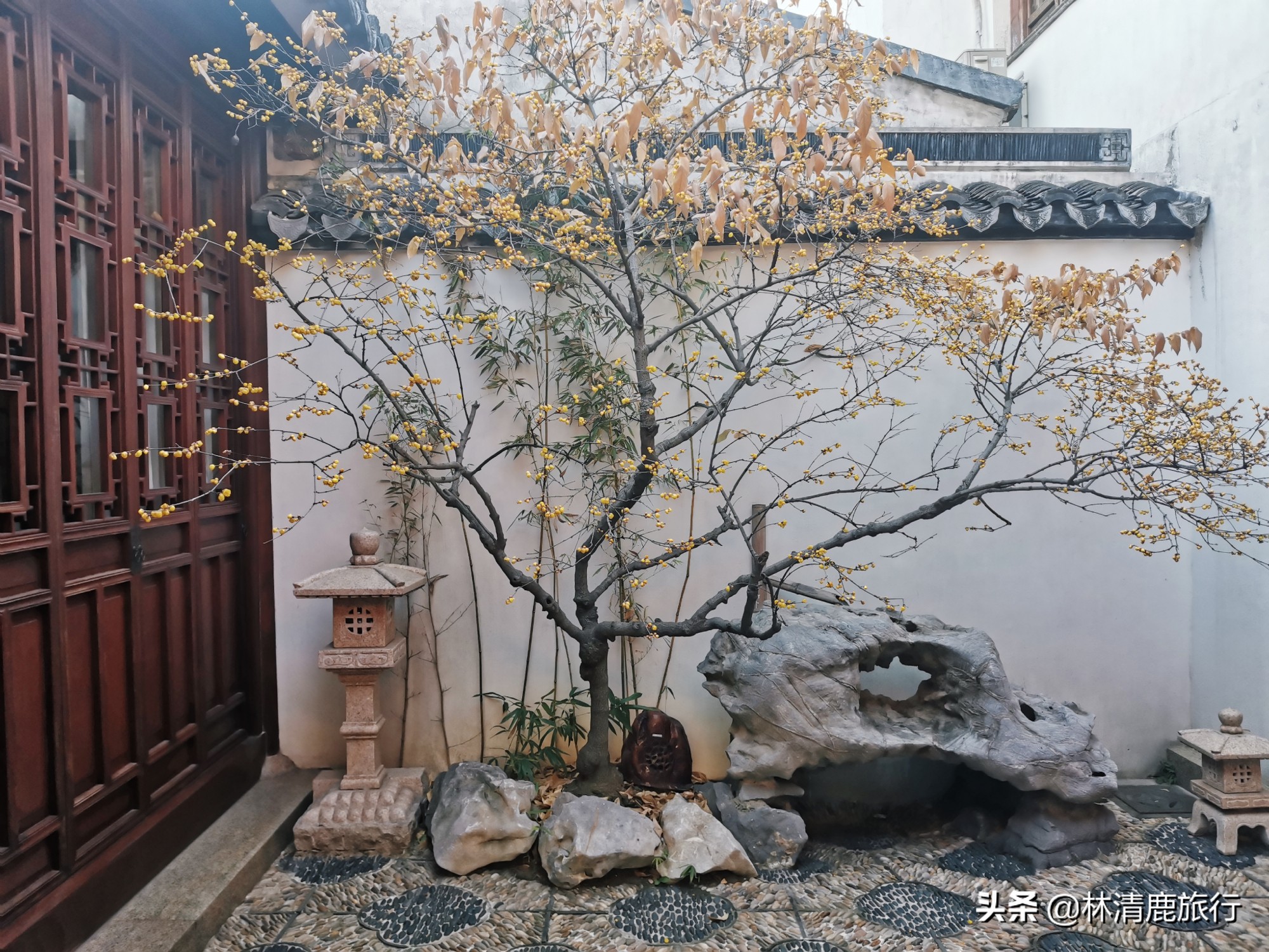 苏州可以喝茶的楼阁亭台,苏州园林喝茶最好的地方