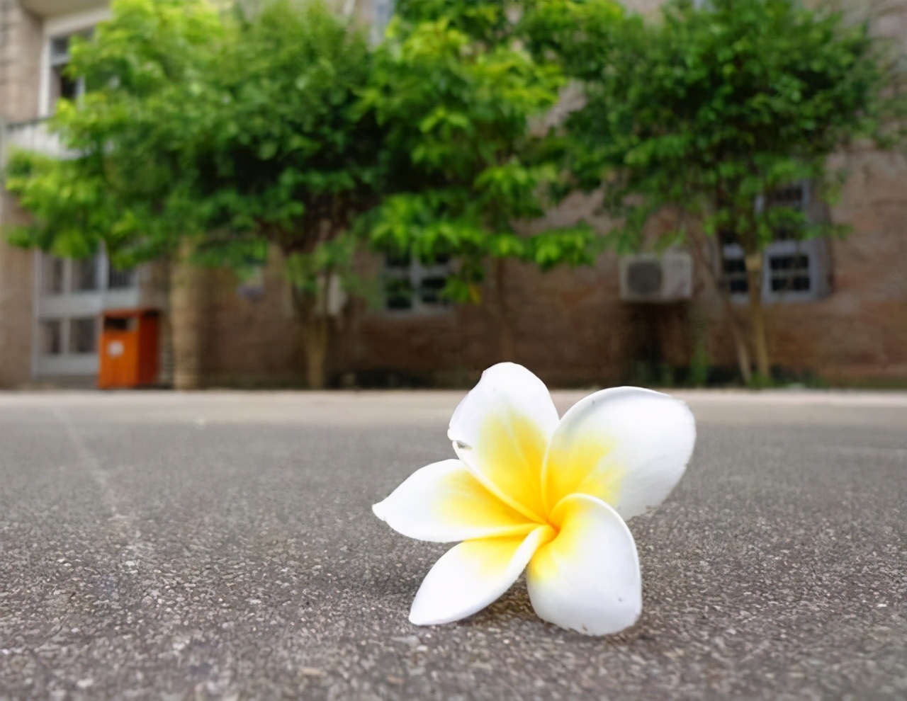 真正值得嫁的女人,真正值得你嫁的人