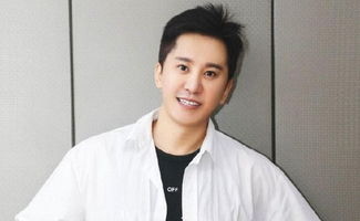 歌星毛宁的现状,歌手毛宁隐退歌坛的原因