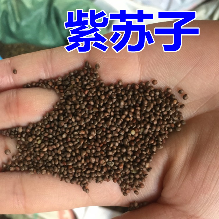 喘、咳、痰多常用药对分享