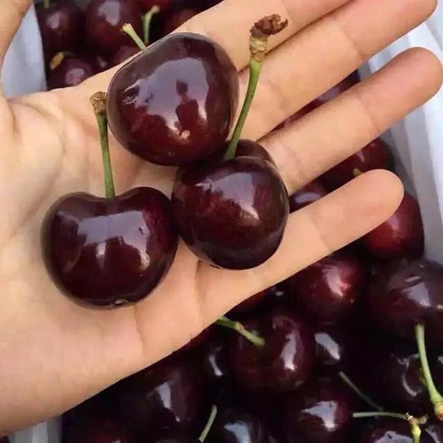 想吃水果的朋友看过来,爱吃水果的宝宝看过来