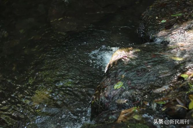 最坑的网红景点,寻物景点