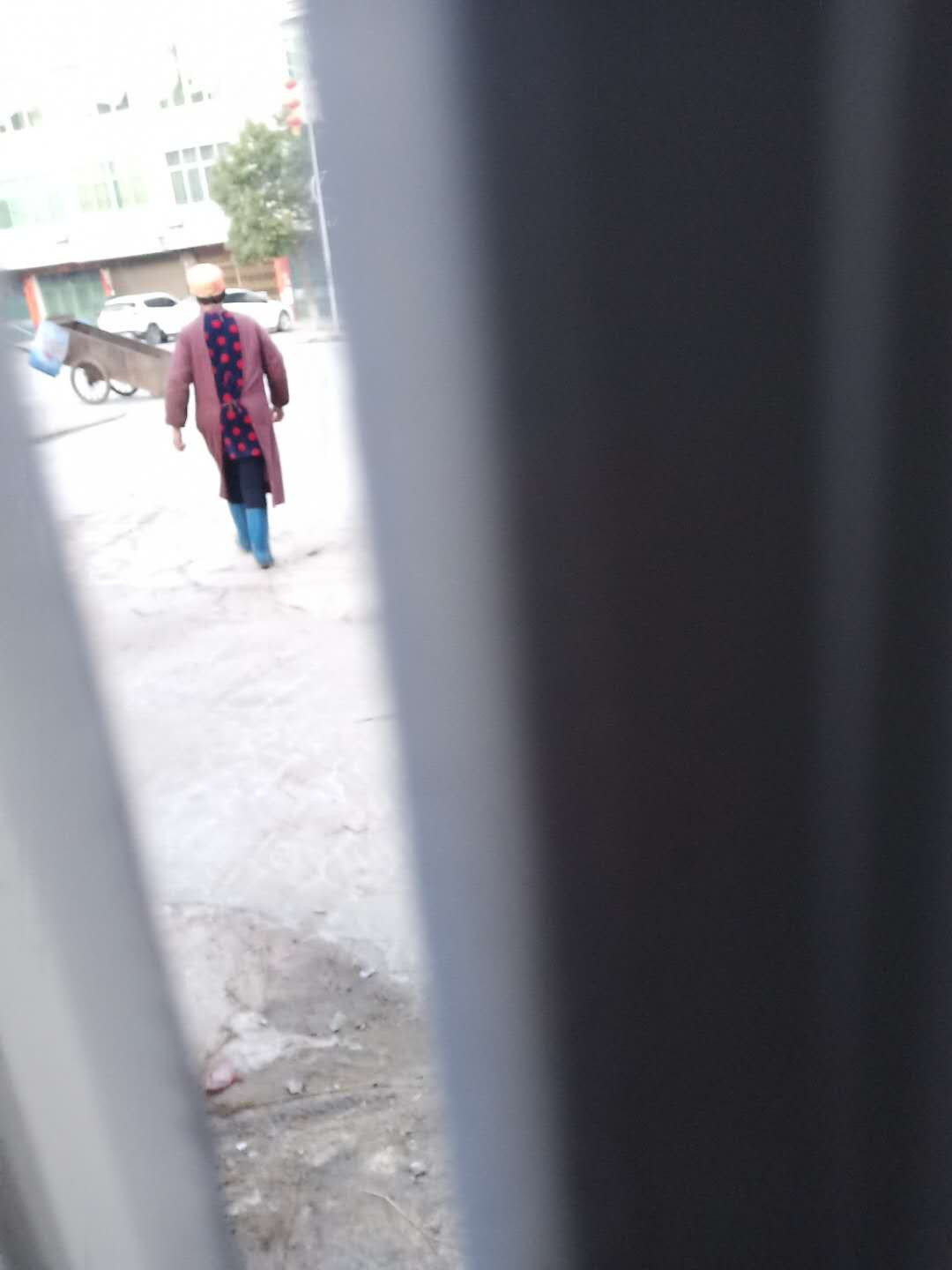 一个湖北重灾区女生的真实日记