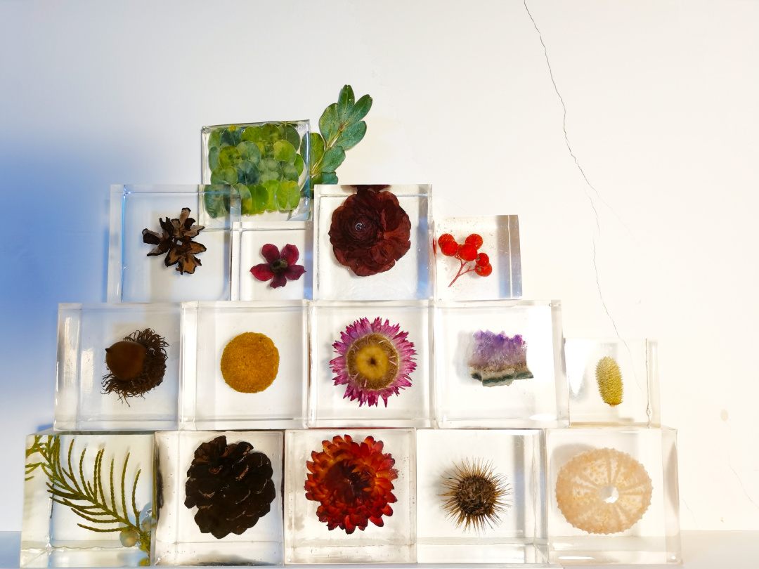 收藏春天的教程,怎么收藏春天