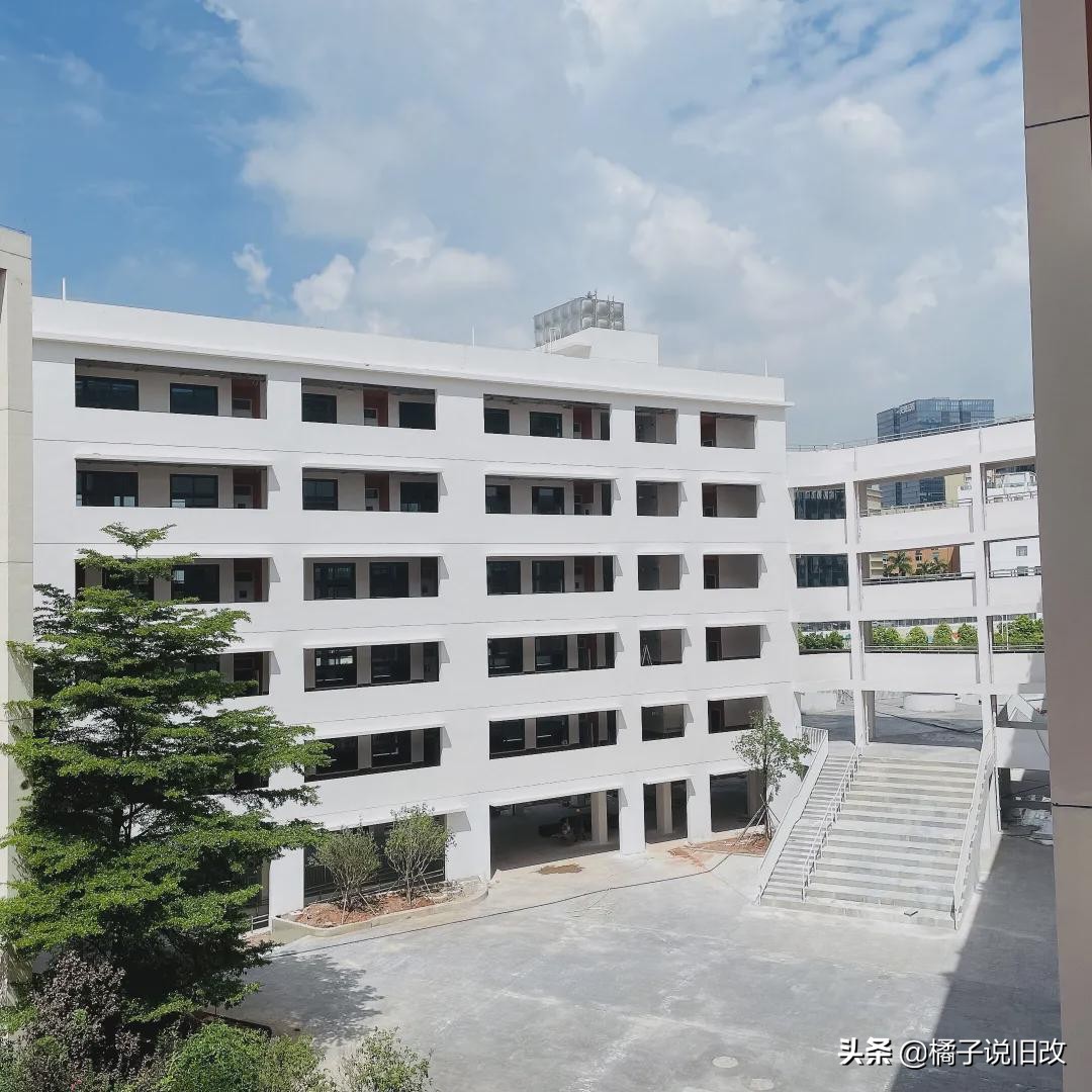 广西龙岗大礼包,龙岗街道新建公办学校