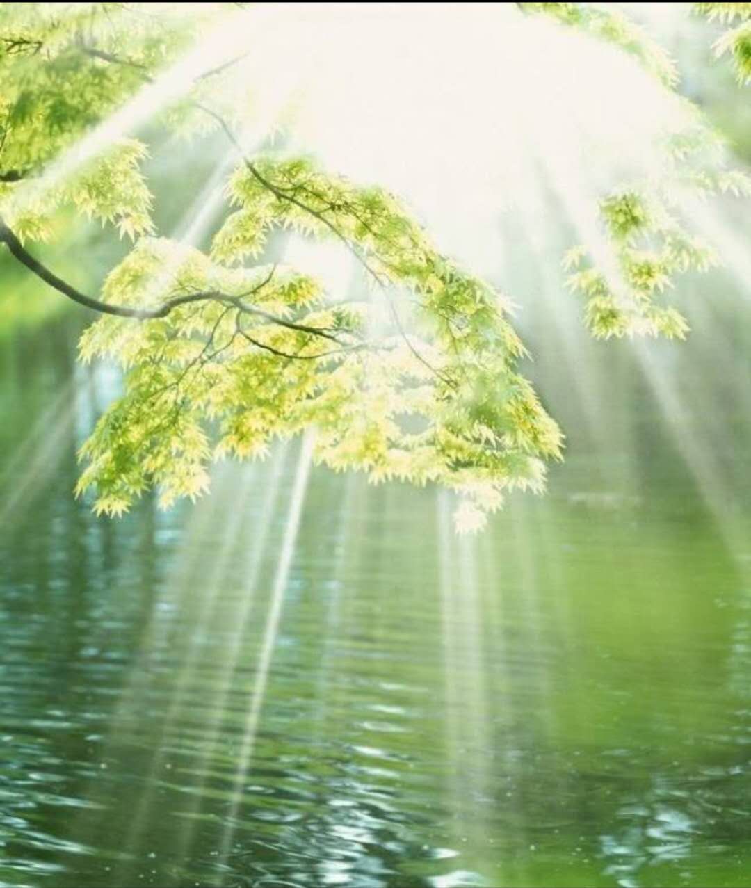 如何给焦虑症人做心理疏导,怎样给焦虑病人做心理疏导