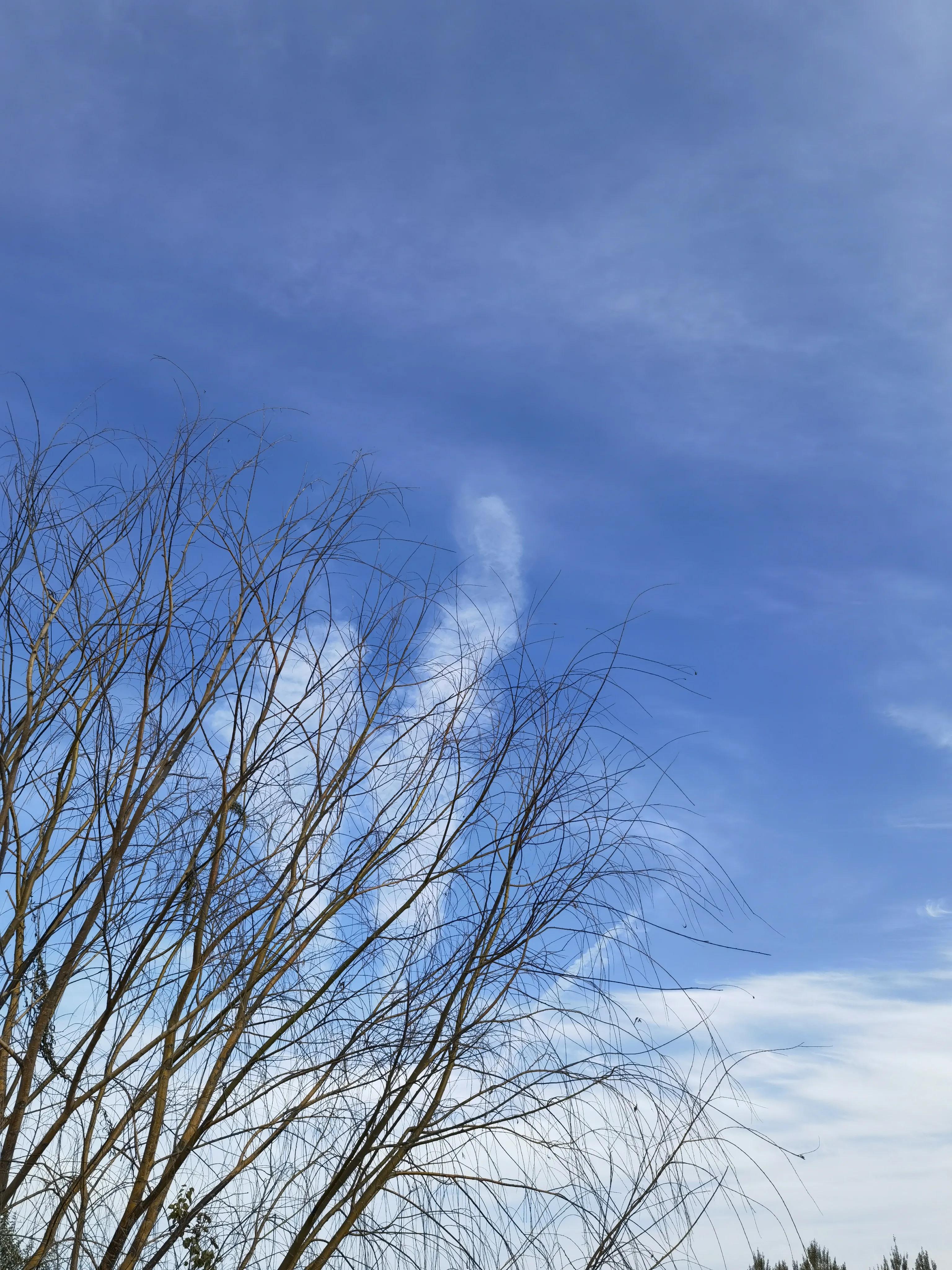 凡立事，谋于阴而取于阳——《古文观止》读书笔记（五十一）