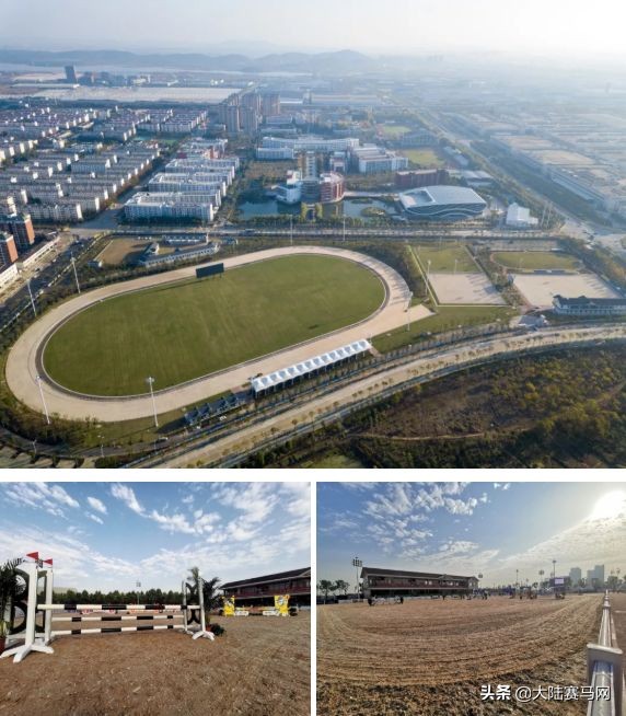 武汉军运会马术比赛,武汉军运会马术比赛是什么马