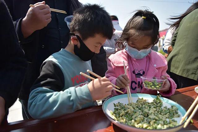 河南上蔡：诞生“芦笋王”单棵拍卖300元