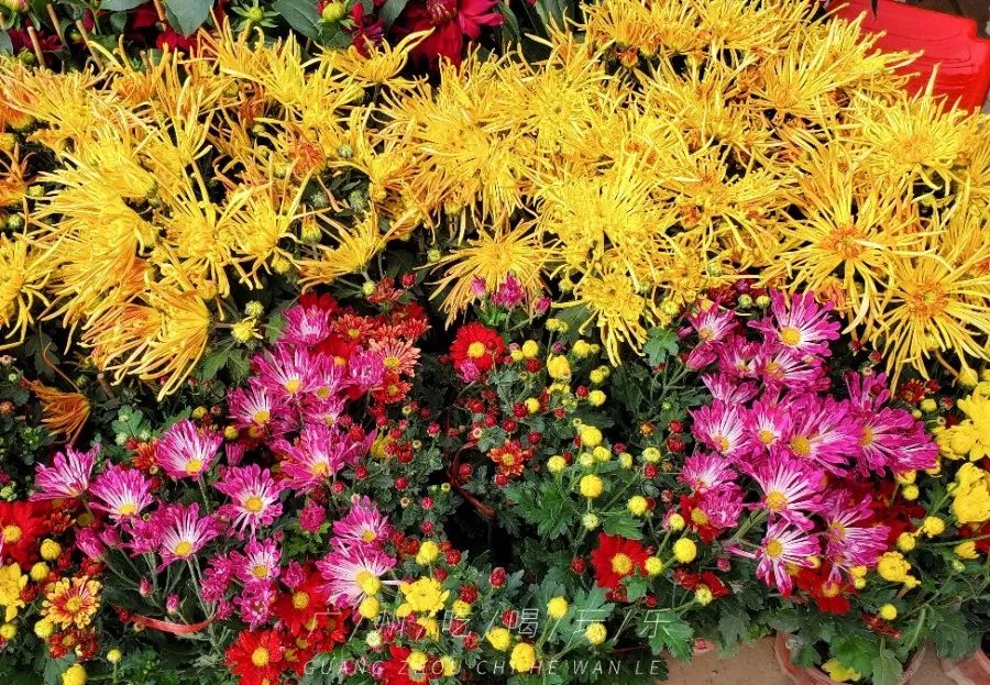 快收藏攻略,快收藏干货