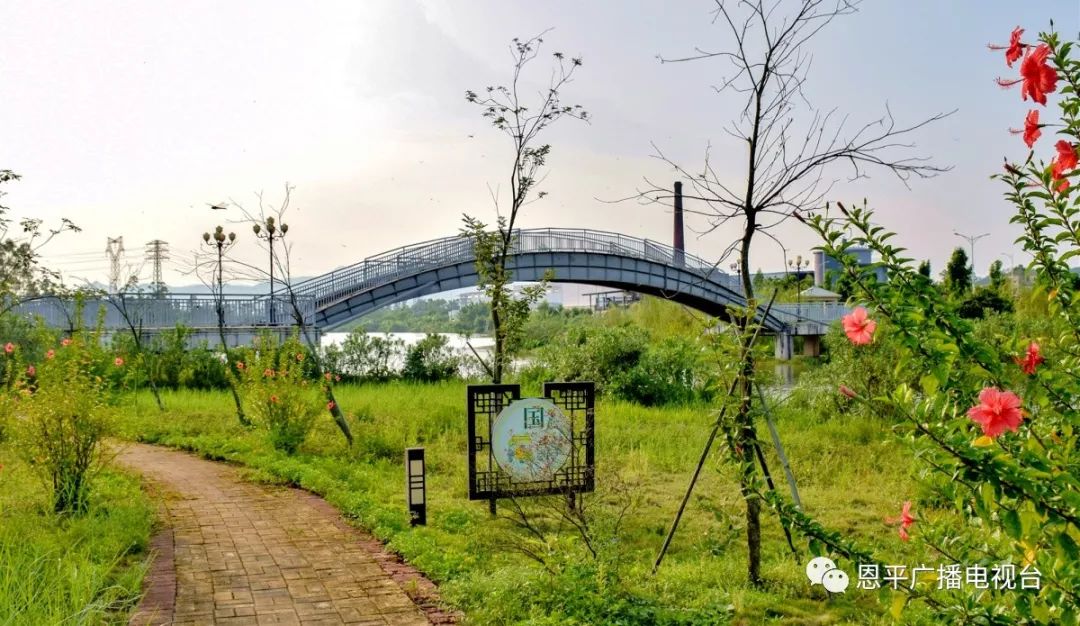 恩平市城镇最新规划项目,恩平森林小镇