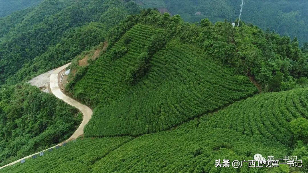 璐靛窞闈犲北鍚冨北鏈夋柊鍚冩硶,骞胯タ璐哄窞灞遍噷楗