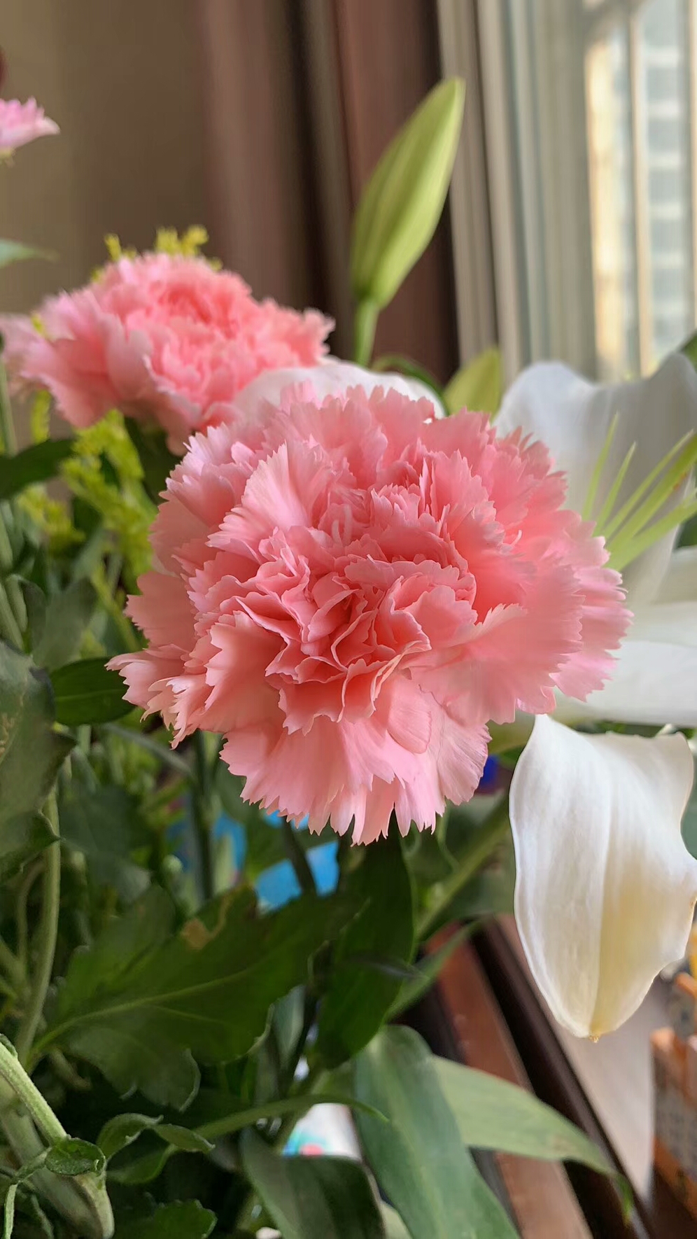 鎯呯壍绾㈠皹鍙惰惤娓呯鍥剧墖,鍙惰惤娓呯鎯呯壍绾㈠皹