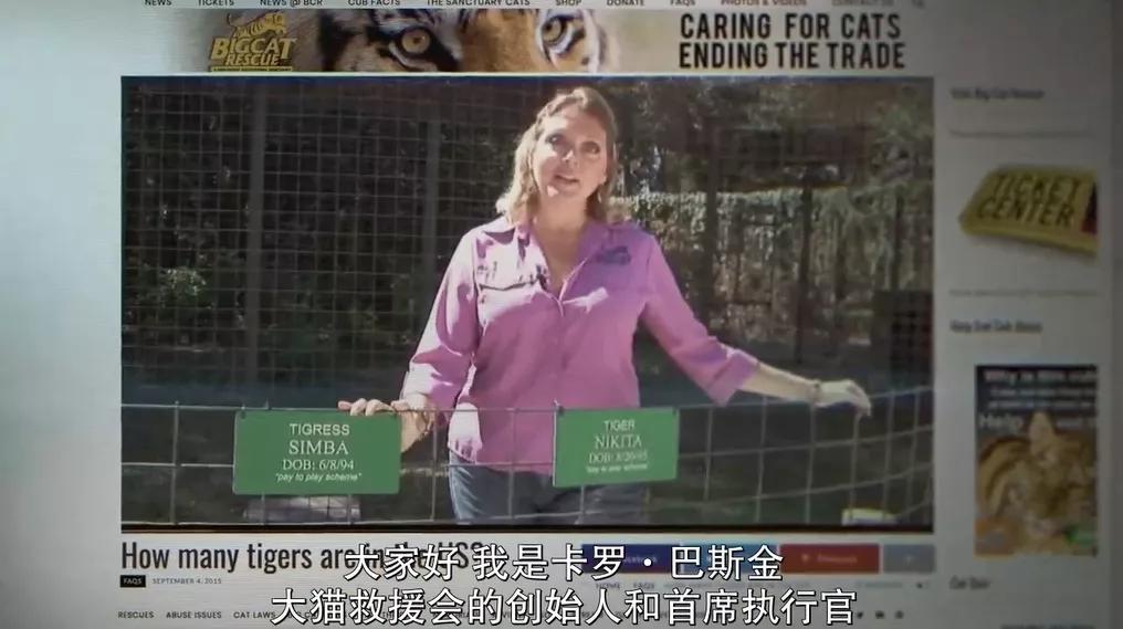 一夫多妻、*教邪***脑洗**、富豪失踪，你敢跟我说是真人真事？