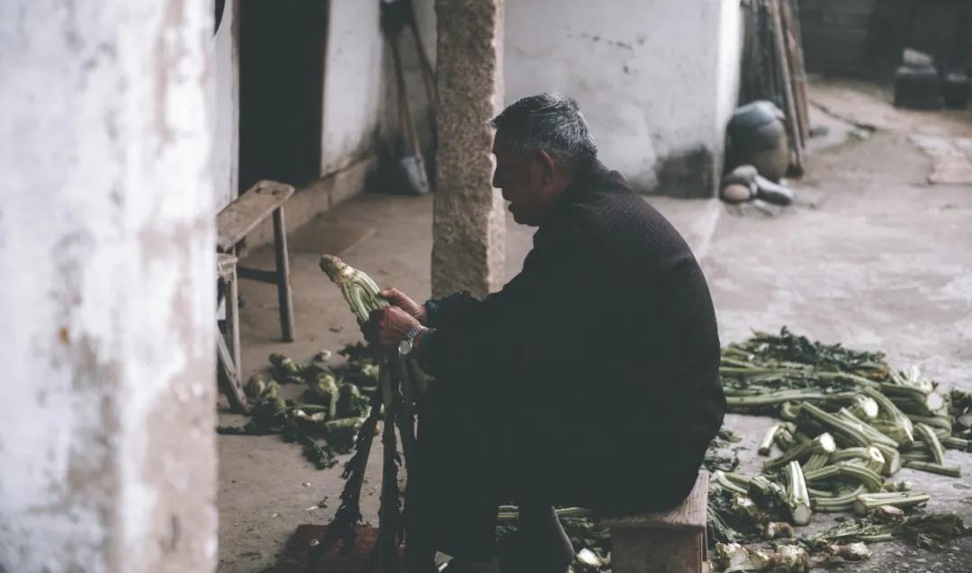 晨昏暮色正苏醒，这是我爱的舟山