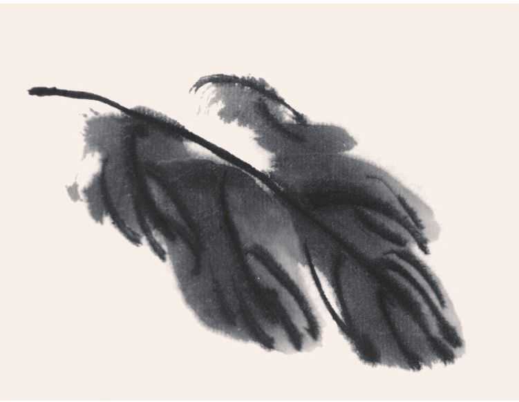 国画牡丹叶子的画法一窍不通,如何画牡丹花叶子和枝干国画视频