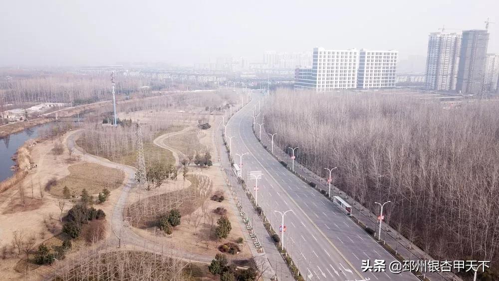 邳州空城视频,一样的金乡不一样的空城
