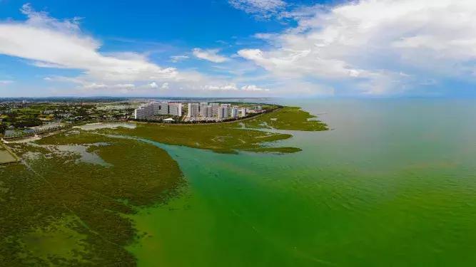 北海的水质是弱碱性的吗,北海饮用水质量全国排名
