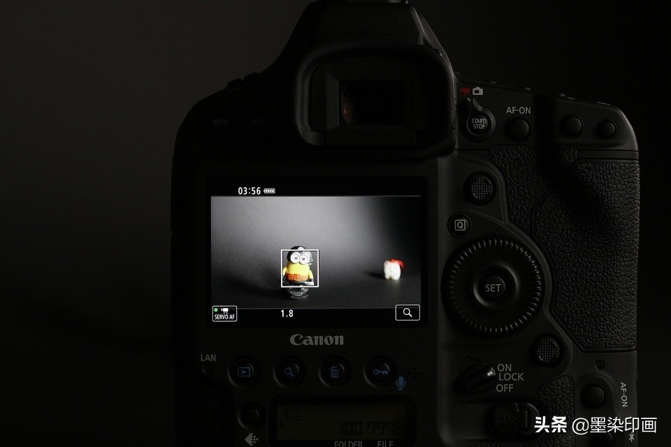 微距拍摄技巧与方法,如何拍摄清晰锐利的微距照片呢