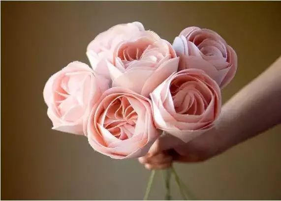 这才是世界上最贵的花卉,十大名贵花卉家养