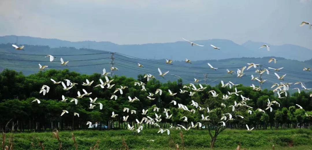 开远是哪个地方,开远市离边境多远
