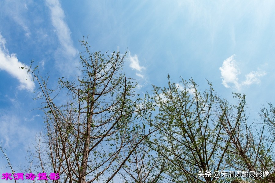 健身休闲绿道,临渭区渭河南堤渭河生态运动公园