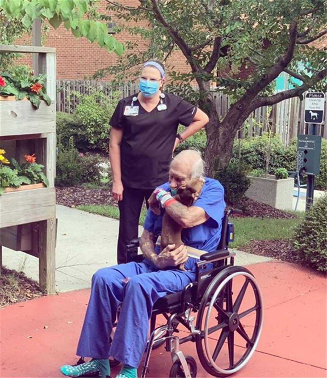 七旬老人突发疾病及时获救,吉娃娃生病了全集