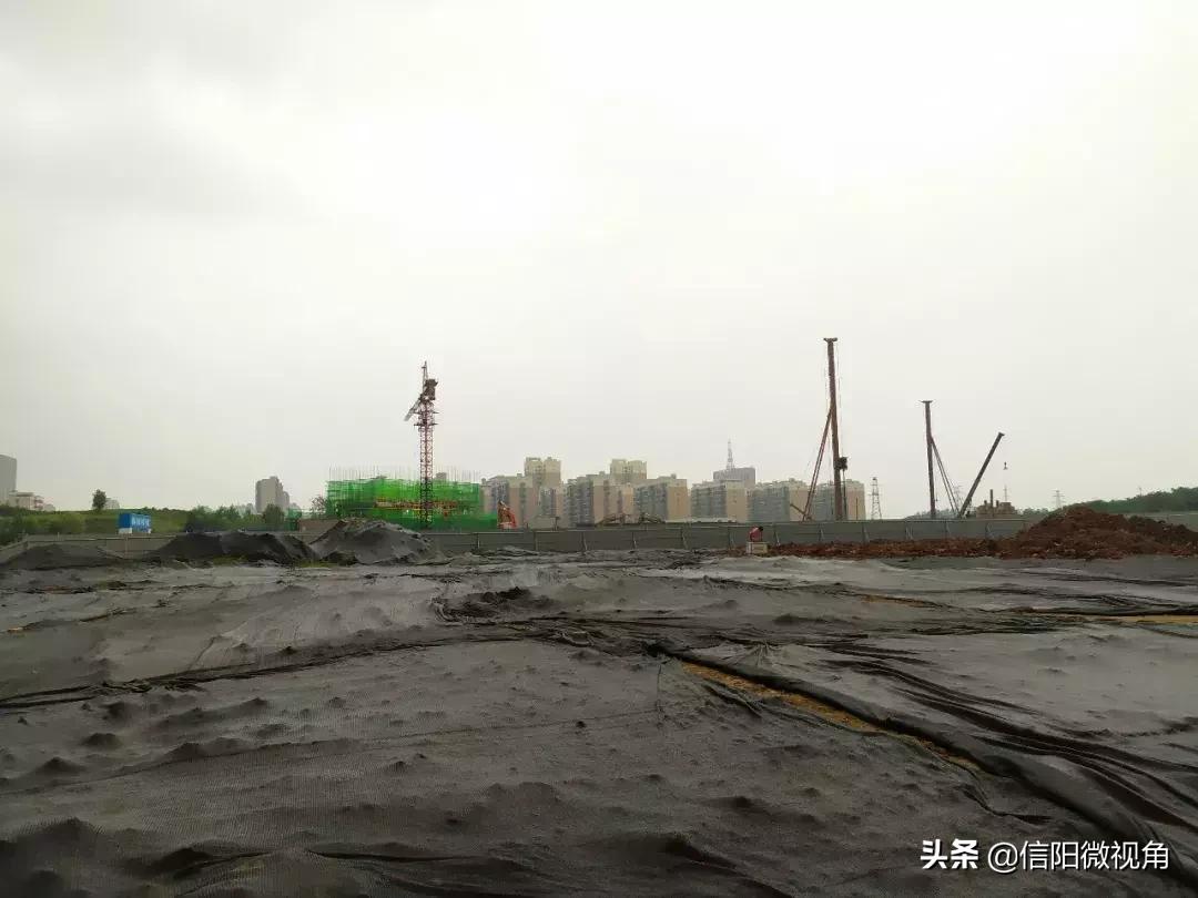 信阳羊山新区的小学排名,信阳羊山外国语小学学区划分