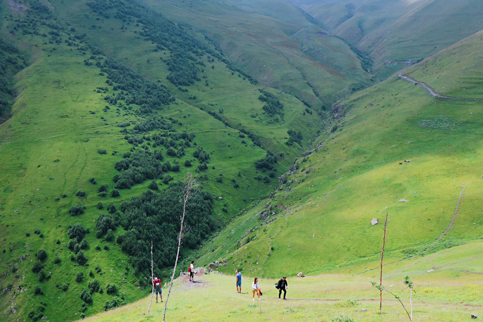 外高加索一日游价格,外高加索旅游
