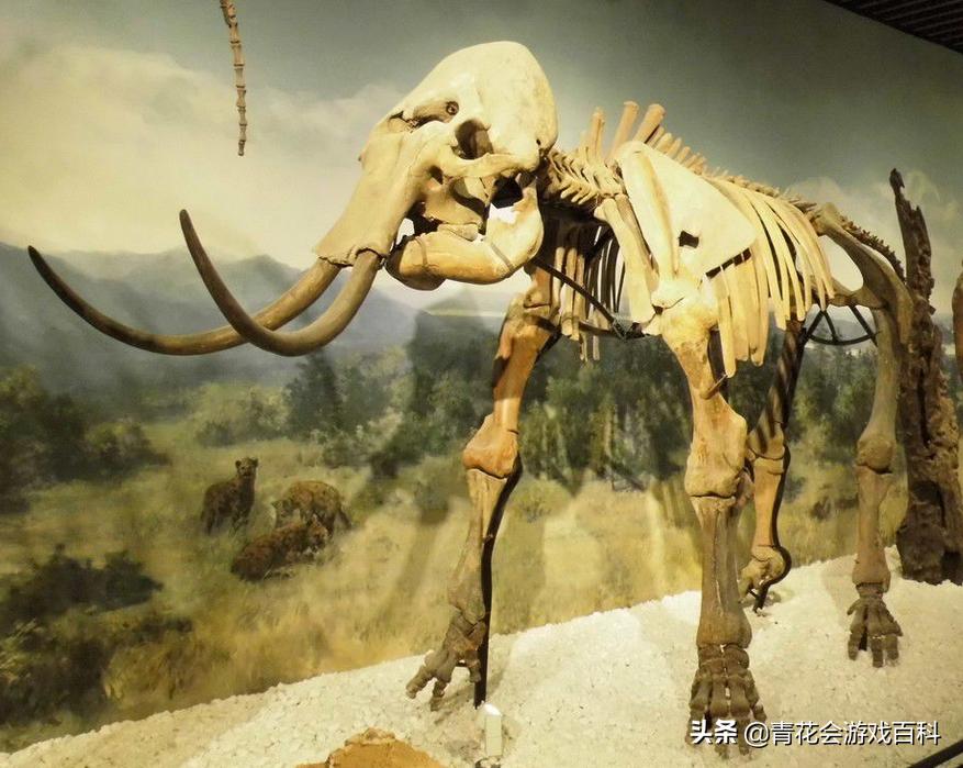 游戏基础知识洞穴场景的设计特点,游戏基础知识俘虏角色的设计手法