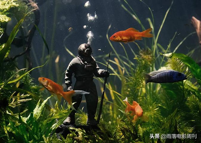 又一部堪比“人鱼恋”，这部魔幻片，怎么没人安利