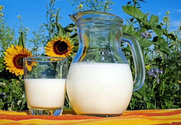 如何正确喝牛奶不长胖,20岁喝牛奶长高的正确方法