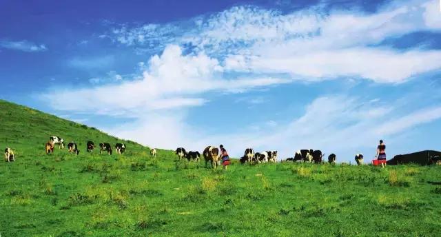 端午旅游推荐2-3天游长沙,端午长沙周边游旅游攻略