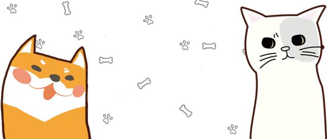 狗狗的便便是红色的还很硬,狗狗的便便怎么能看出来有虫