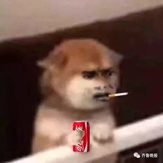 代购商逃税10年判几年,进口代购逃税淘宝店主获刑10年