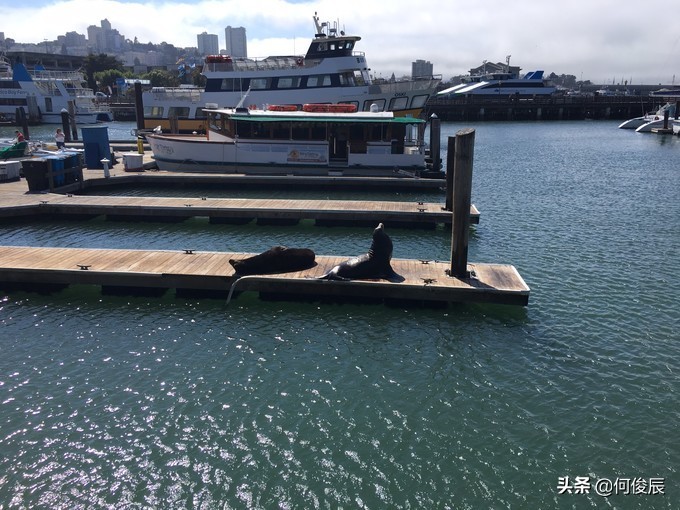 澳门渔人码头周边网红打卡地,旧金山渔人码头唐人街华人老照片