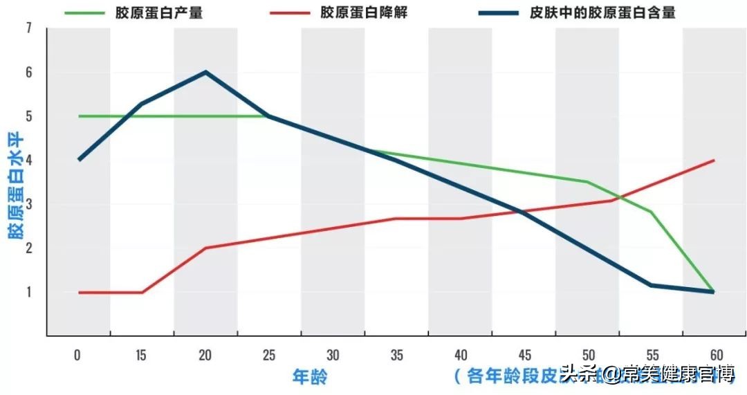 别再浪费胶原蛋白了,别再傻傻的补胶原蛋白了