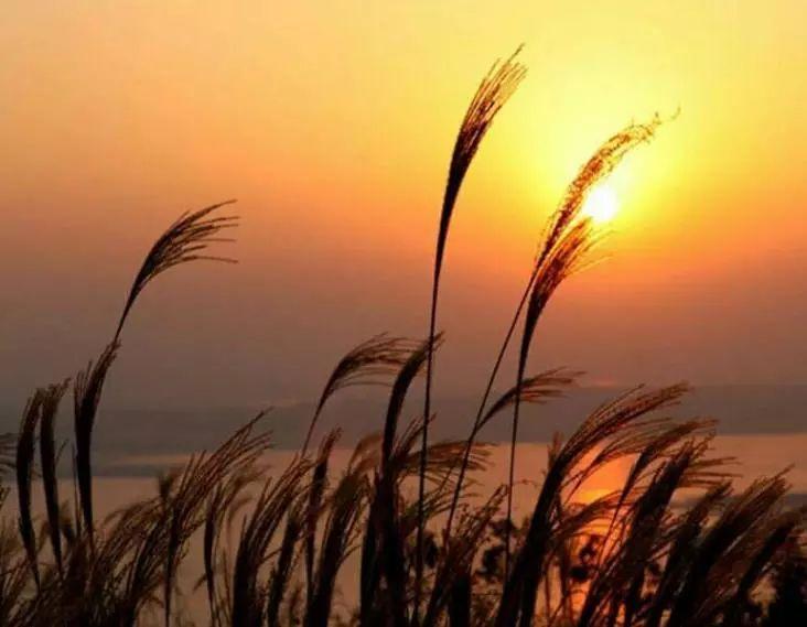 我无比怀念曾经的自己,还怀念初中遇到的人