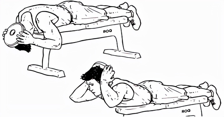 颈部的健身训练,wildfieldhealth牌子如何